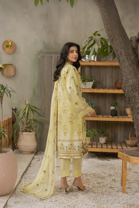 D-2121|3-Piece Embroidered Lawn Collection