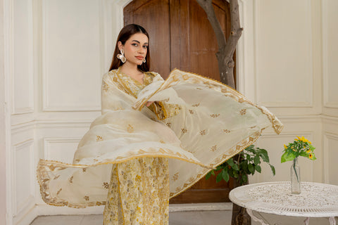 D-2303 | 3 Pcs Embriodered Lawn  Collection