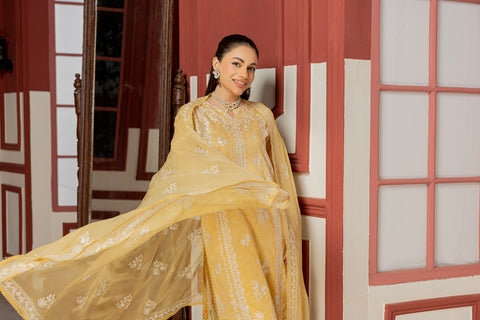 D-2310 | 3 Pcs Embriodered Lawn Collection