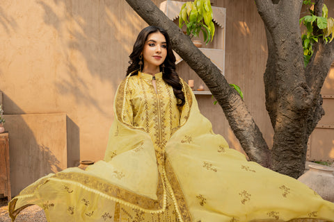 D-2294 | 3 Pcs Embroidered Lawn Collection