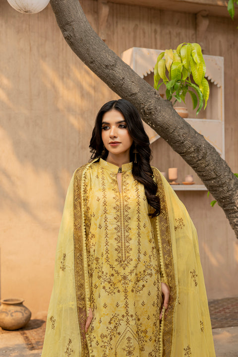 D-2294 | 3 Pcs Embroidered Lawn Collection