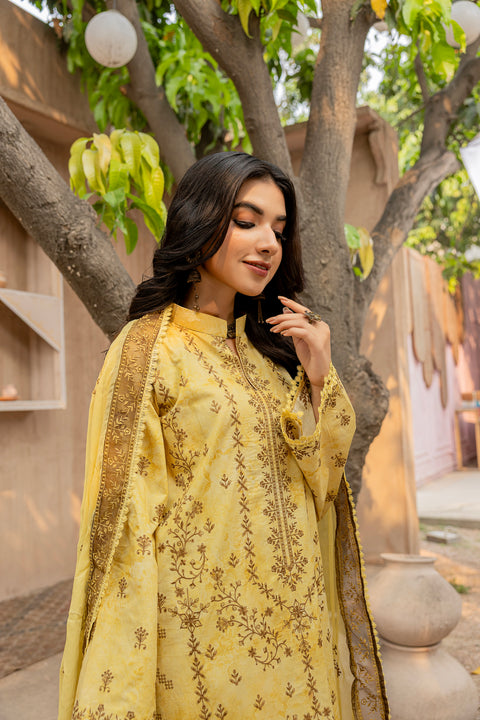 D-2294 | 3 Pcs Embroidered Lawn Collection