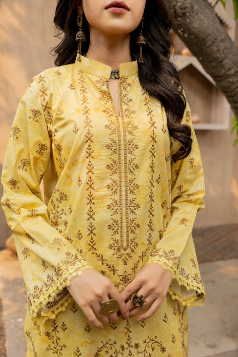 D-2294 | 3 Pcs Embroidered Lawn Collection