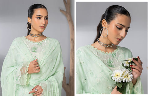 D-2136|3-Peice Embroidered lawn Collection