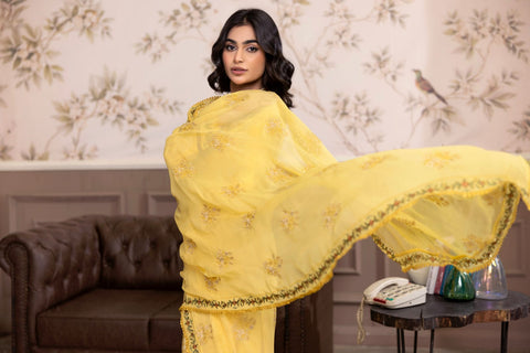 D-2233 | 3Pcs Embroidered Lawn