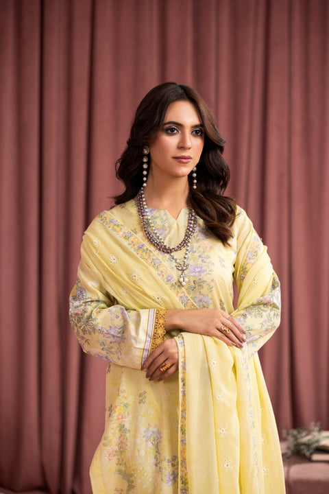 D-2241 | 3 Pcs Print Embroidered Lawn