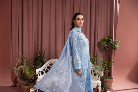 D-2248 |3 Pcs Print Embroidered Lawn